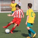 IMG_8895