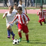 Torneo maggio 2015 (13)