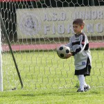 Torneo maggio 2015 (2)