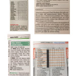 Rassegna stampa 5 ottobre (Junior Fiorano)