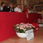 IMG_2561