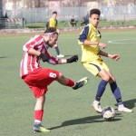 IMG_9464