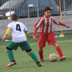 IMG_1800
