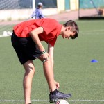 IMG_8429