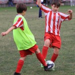 IMG_4511