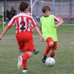 IMG_4515