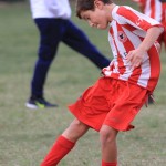 IMG_4546