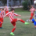 IMG_4616