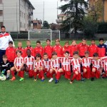 2010-Pulcini