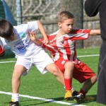 IMG_3809