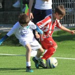 IMG_3883