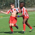 IMG_3901