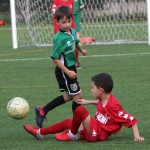 IMG_4746