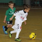 IMG_7385