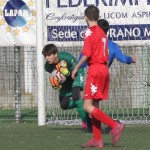 IMG_1965