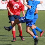 IMG_8428