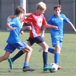 IMG_8455