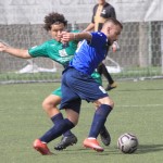 IMG_2268