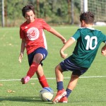 IMG_3613