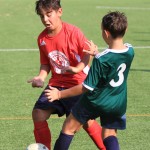IMG_3621