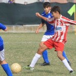 IMG_4632