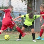 IMG_0362