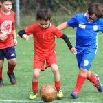 IMG_5152