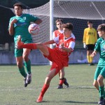 IMG_5537
