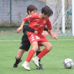 IMG_6922
