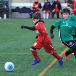 IMG_8015
