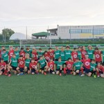 IMG-1