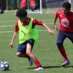 IMG_8762