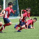 IMG_8784