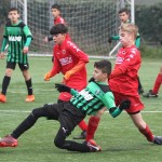 IMG_6070