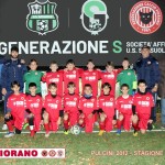 Pulcini-2012-copia