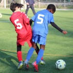 IMG_1286