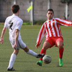 aIMG_8274