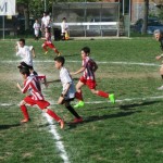 IMG-20170410-WA0071