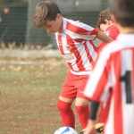 IMG_7799