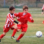IMG_7828