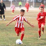 IMG_7861