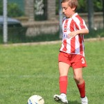 IMG_6961